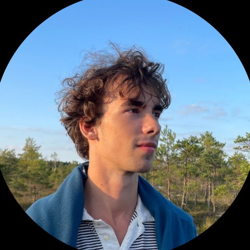 Māris Purgailis — SEO un reklāmu speciālists